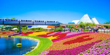 Photo of the lake shore with flowers, a bridge and a passing train in Orlando